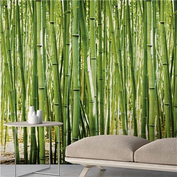 Bamboo 1860-2674