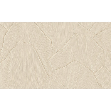 Shards Clay 42502