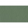 Shards Ferns 42504