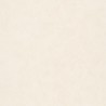 Patine Uni Beige Moyen Nacre 100221139