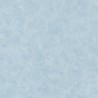 Patine Uni Bleu Gris Clair 100226603