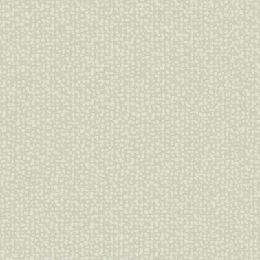 Galaxies Beige DD3805~1