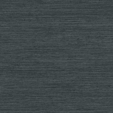 Shining Sisal Black Silver Y6200903~1
