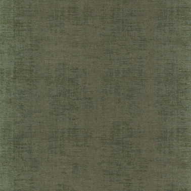 Johara Kaki 74393024