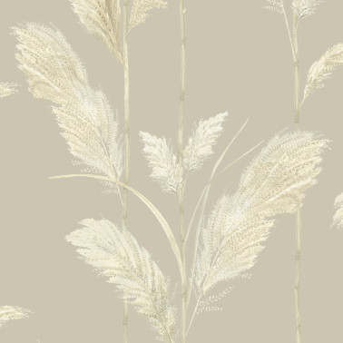 Pampas Grass BMTD001-10C