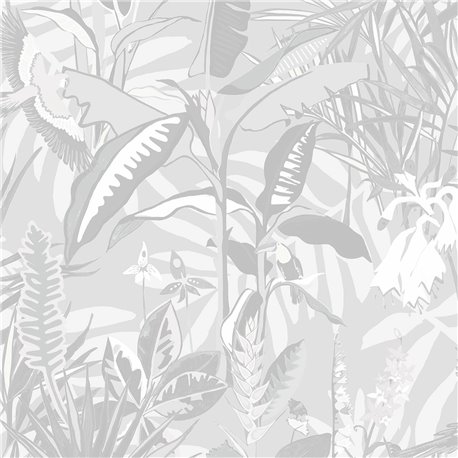 The Tropics BMTD001-14C