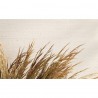 Burlap Whitewash MW125-01