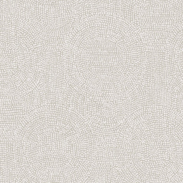 Goanna Silver TUL506