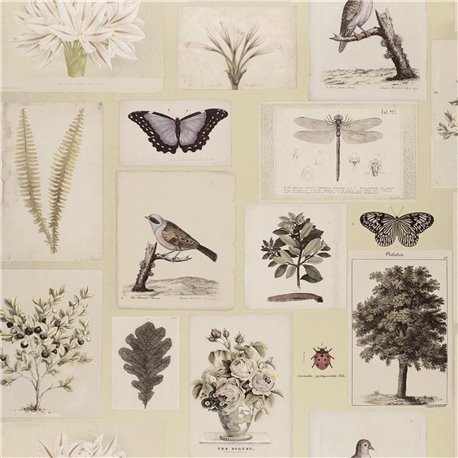 Flora and Fauna Canvas PJD6001-03