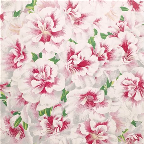 Variegated Azalea Azalea PJD6004-01 Variegated Azalea Azalea PJD6004-01