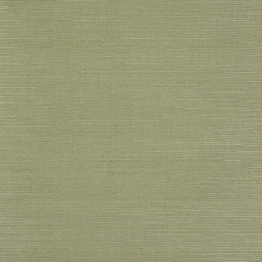 Seagrass Fern 20232-32