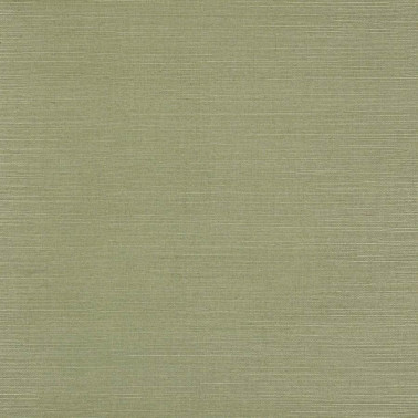 Seagrass Fern 20232-32