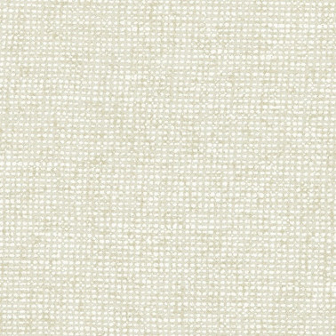 Chanderi Eggshell 91501C