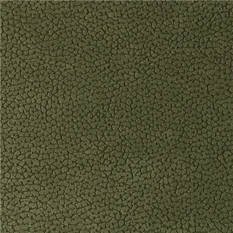 SAHARA FOREST SAHARA FOREST