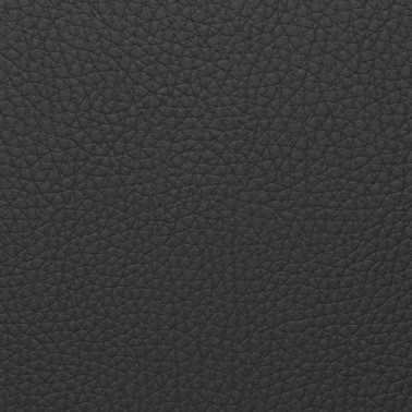 TOKYO ANTHRACITE