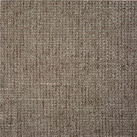 TRIBU TAUPE