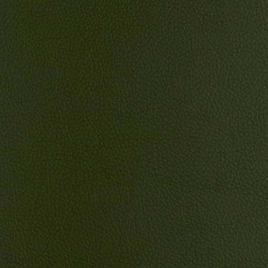 VOYAGER-FRBS5852(CIG.&MATCH) GREEN