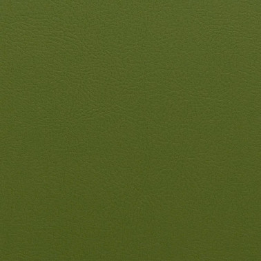 NAPPATECH OLIVE