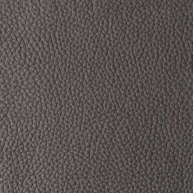 PACIFICO DARKGREY