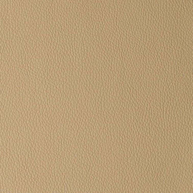 ARIZONA BEIGE