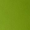 ARIZONA GREEN