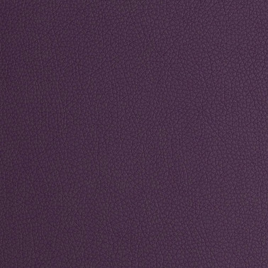 ARIZONA PURPLE