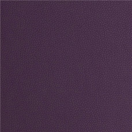 ARIZONA PURPLE ARIZONA PURPLE