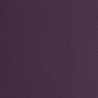 ARIZONA PURPLE