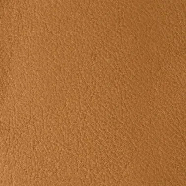 ATLANTIDA BRULEE 06218