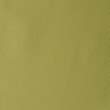 ATLANTIDA CELERY 06294
