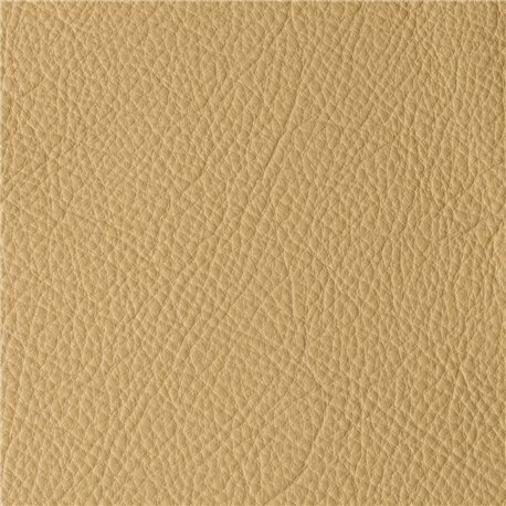 ATLANTIDA CHAMPAGNE 06220