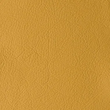 ATLANTIDA YAM 06251