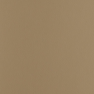 CHRONUS LIGHT CAMEL