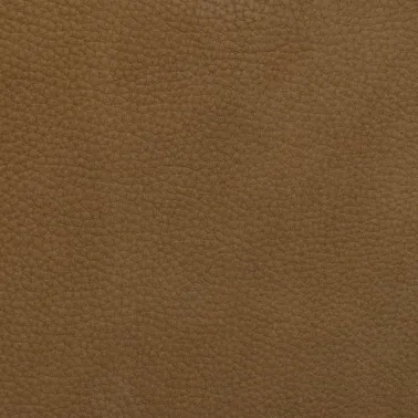 COLUMBIA CAMEL 191709