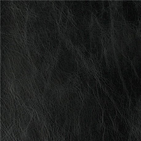 COUNTRY EBONY 042007