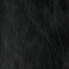 COUNTRY EBONY 042007