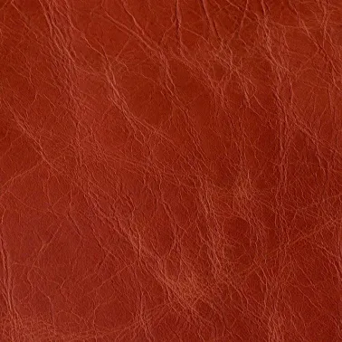 COUNTRY ORANGE 042009