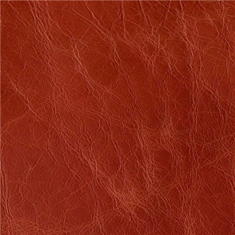 COUNTRY ORANGE 042009