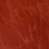 COUNTRY ORANGE 042009