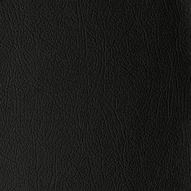 DAYTONA BLACK 101014