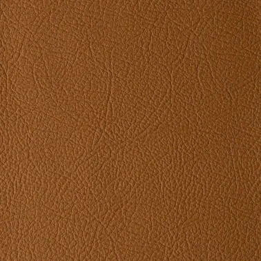DAYTONA CAMEL 101011