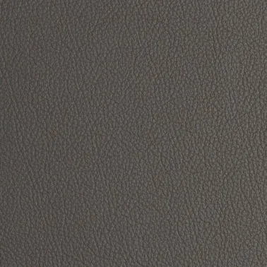 FLORIDA BA ANTHRACITE 130012