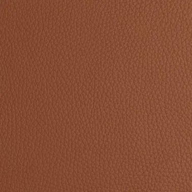 FLORIDA BA CAMEL 130019