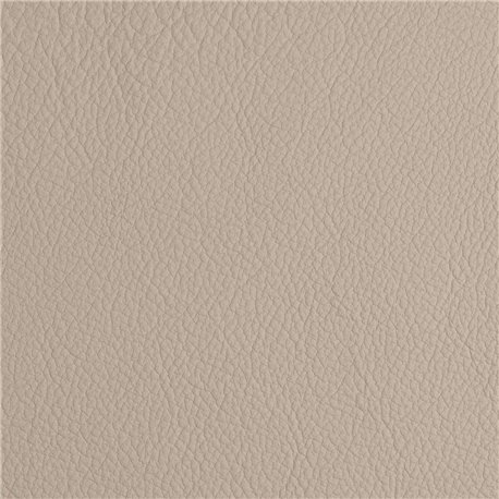 FLORIDA BA SAND 130013