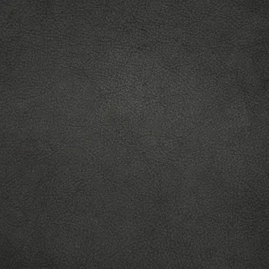 MANAUS GRAPHITE 024027