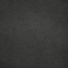 MANAUS GRAPHITE 024027