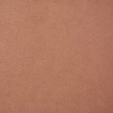 MANAUS NUDE 024014