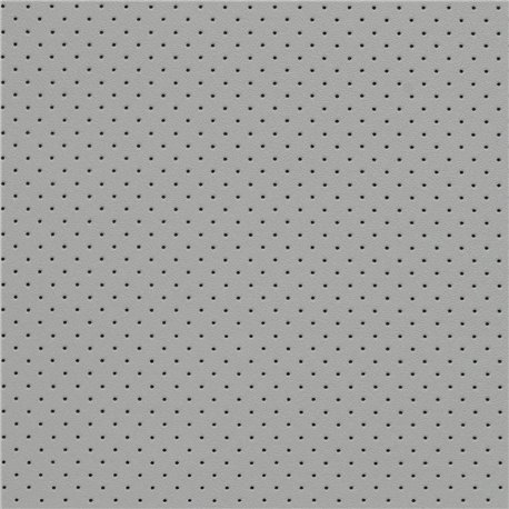 MONACO - PERFORATED CEMENT 111241 MONACO - PERFORATED CEMENT 111241