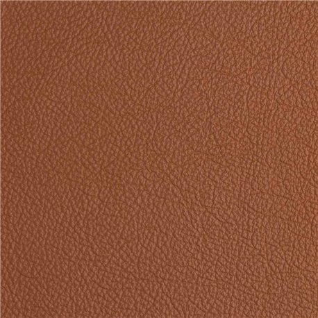 MONTANA BR CAMEL 120031 MONTANA BR CAMEL 120031