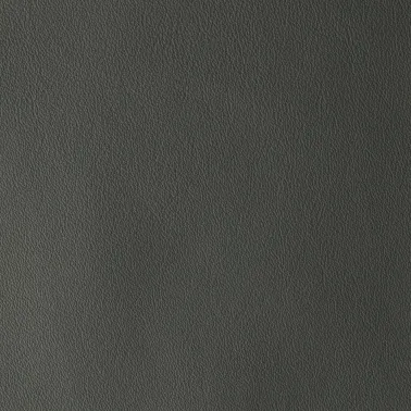 LAGUNA SHARK 08623
